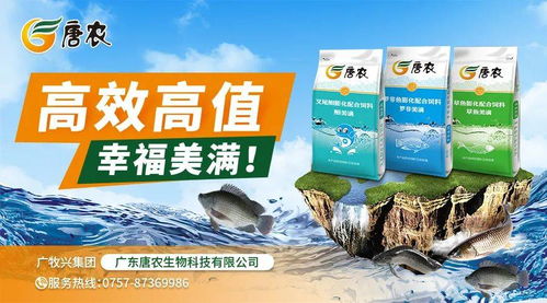 天天漲 周周漲 珠三角30頭38元,山東暴漲10元,蝦價繼續飛
