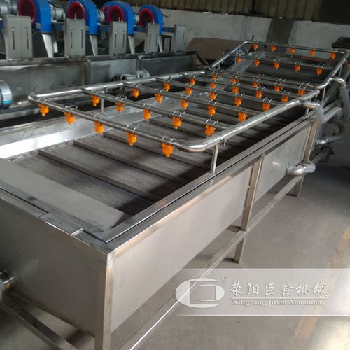 瓜果蔬菜清洗機(jī)全自動(dòng)不銹鋼噴淋氣泡清洗機(jī)定制廠家定制生產(chǎn)銷(xiāo)售