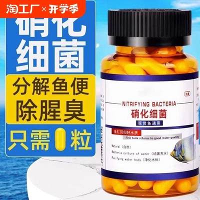當前網(wǎng)購流行