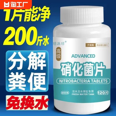 當前網(wǎng)購流行產(chǎn)品