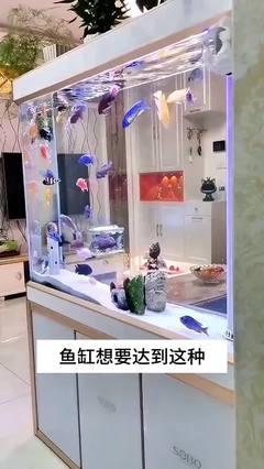 源頭工廠價格不貴品質高的狗糧試試看#狗糧推薦 #源頭工廠 #汪部長犬糧 #超劃算超便宜